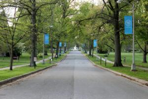 The Avenue